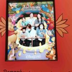 Disneyland_d (32)